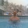Francesco